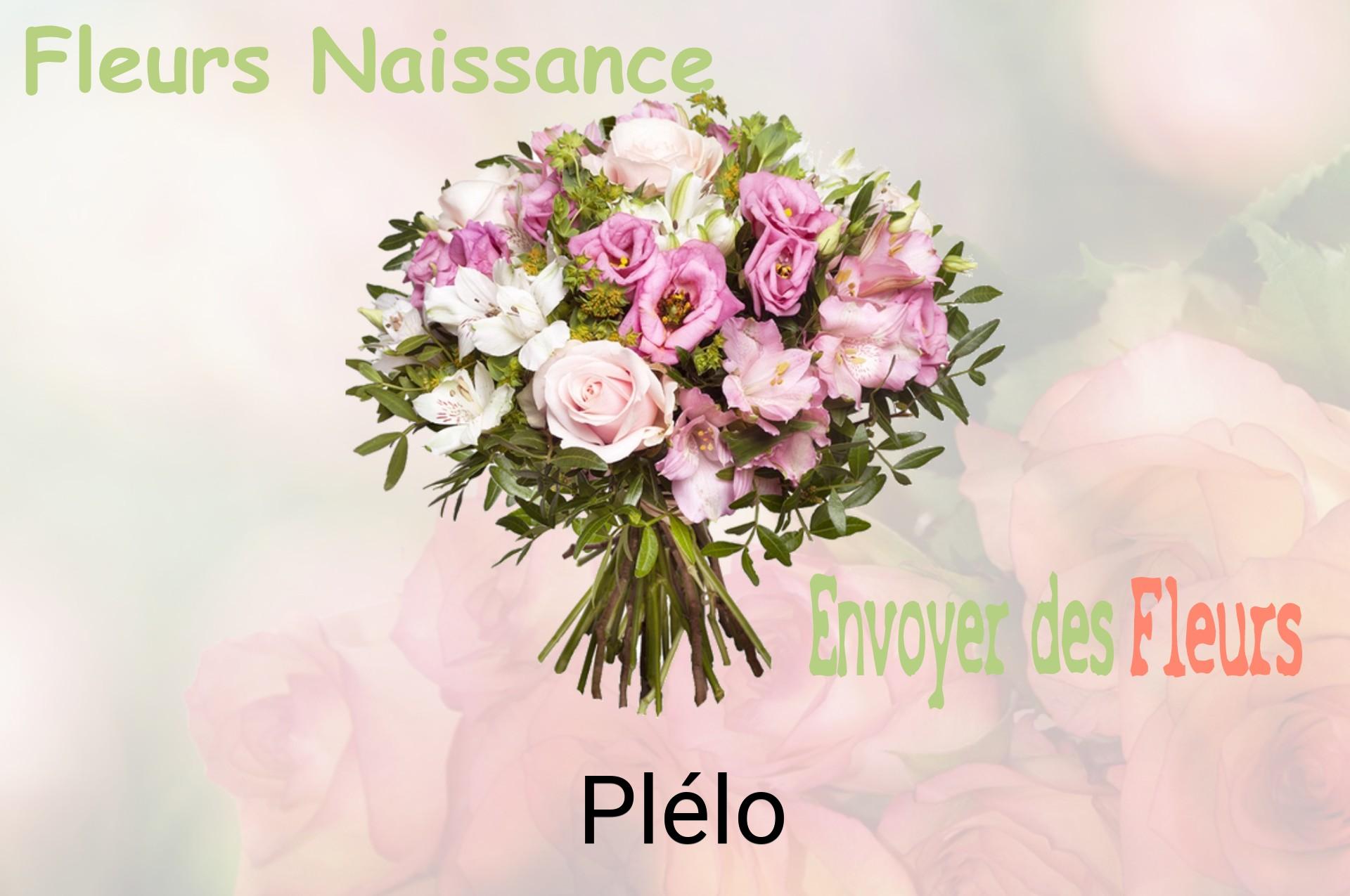 Bouquet de fleurs de naissance livré à Plélo