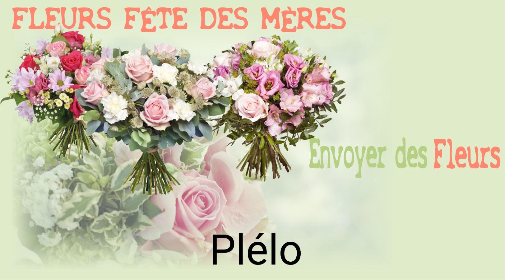 Bouquet de Fête des Mères livré à Plélo